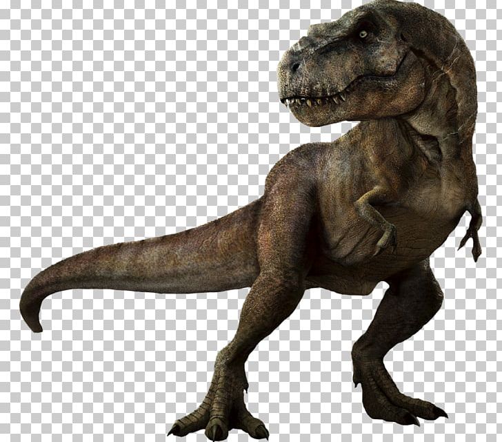 Velociraptor Tyrannosaurus Dinosaur PNG, Clipart, Animal, Dinosaur, Download, Epc, Fantasy Free PNG Download