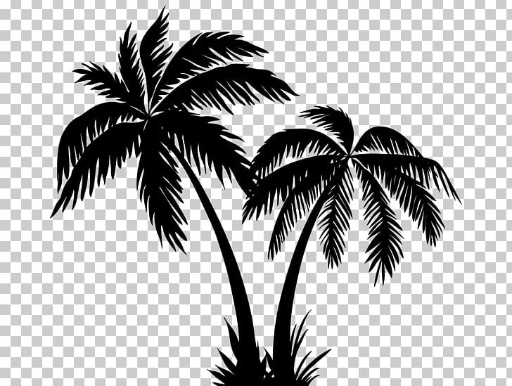 Arecaceae Silhouette Tree PNG, Clipart, Animals, Arecaceae, Arecales, Areca Palm, Art Free PNG Download