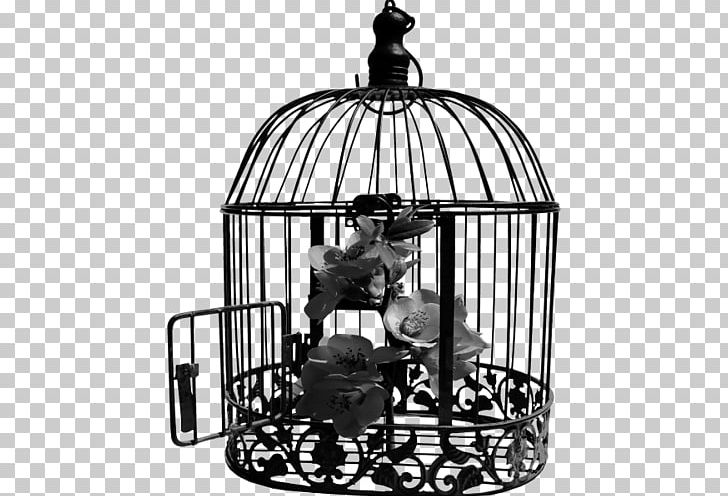 Cage Bird Wire PNG, Clipart, Bird, Birdcage, Bisou, Black And White, Cage Free PNG Download