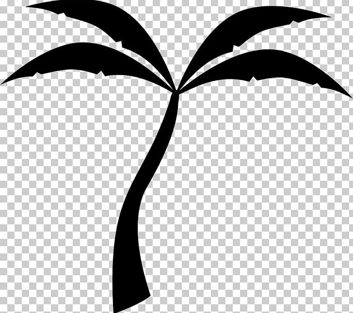 Arecaceae Silhouette PNG, Clipart, Animals, Arecaceae, Artwork, Black And White, Branch Free PNG Download