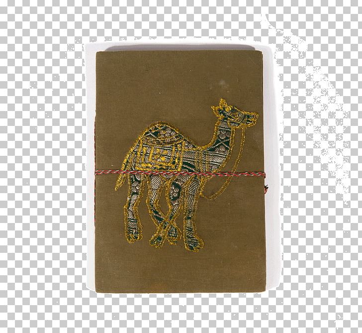 Giraffe Fauna PNG, Clipart, Fauna, Giraffe, Giraffidae, Jewelry Accessories Free PNG Download