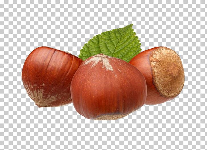 Hazelnut Vitamin E Stock Photography PNG, Clipart, Almond, Chestnut, Common Hazel, Food, Fruit Free PNG Download