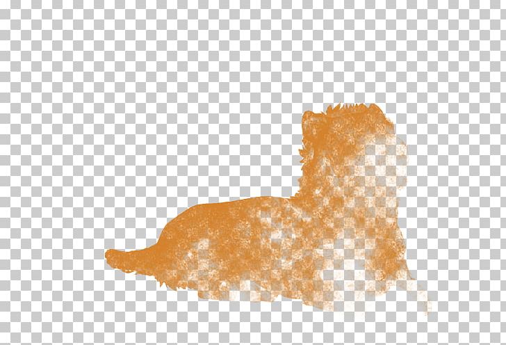 Lion Mammal Canidae Dog Snout PNG, Clipart, Animals, Birth, Canidae, Carnivoran, Dog Free PNG Download