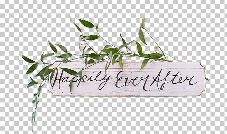 Mint Julep Creative Events Event Management Wedding Planner PNG, Clipart, Calligraphy, Corporation, Event Management, Flower, Flowerpot Free PNG Download