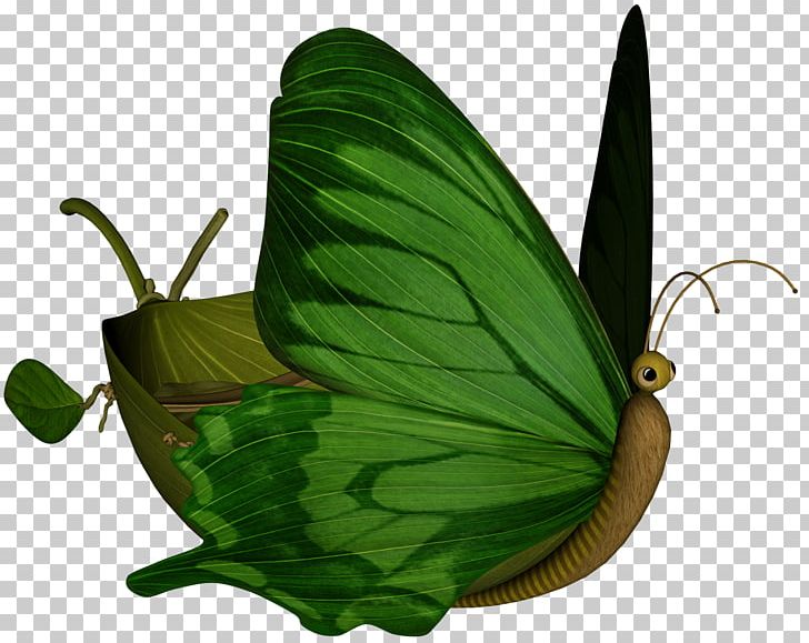 Nymphalidae Butterfly Moth Animation PNG, Clipart, Animation, Brush Footed Butterfly, Insect, Insects, Invertebrate Free PNG Download