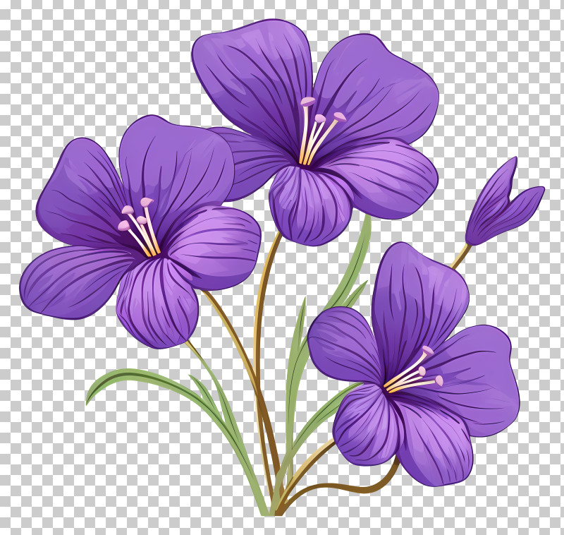 Purple Flowers - Cluster Of Purple Flowers With Delicate Features PNG