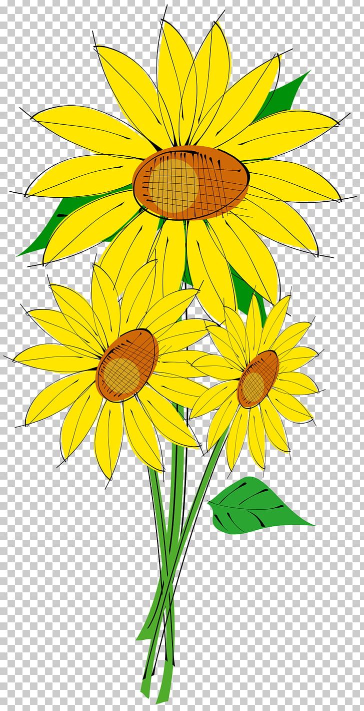Common Sunflower PNG, Clipart, Common Sunflower, Cut Flowers, Daisy, Daisy Family, Desktop Wallpaper Free PNG Download