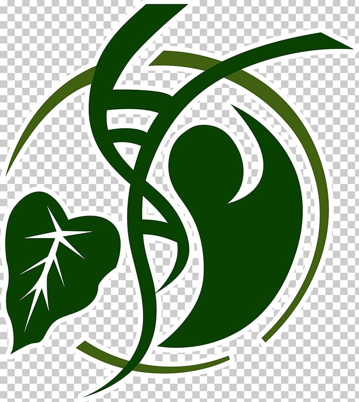 Hawaii Superman Logo PNG, Clipart, Deviantart, Disease, Flora, Flowering Plant, Grass Free PNG Download