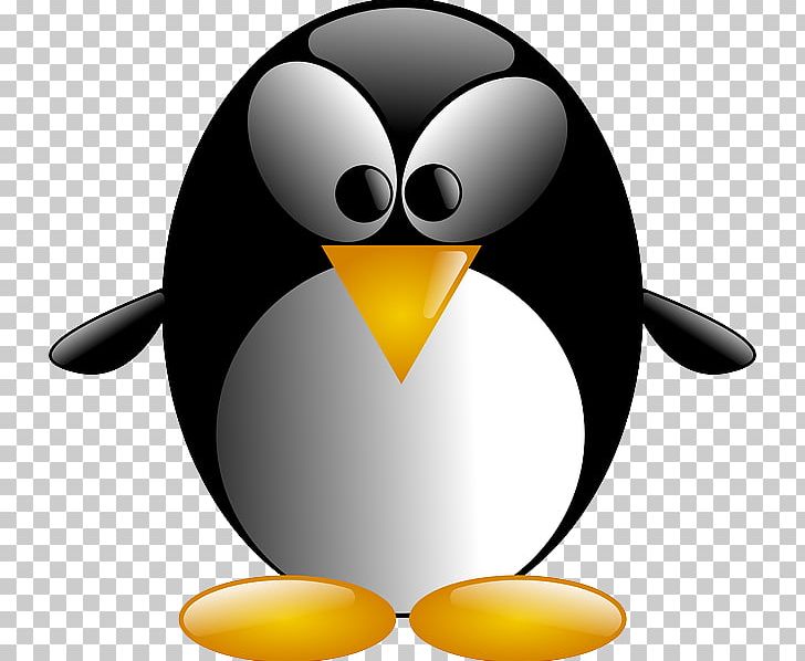Penguin Bird PNG, Clipart, Animals, Beak, Bird, Cartoon, Character Free PNG Download