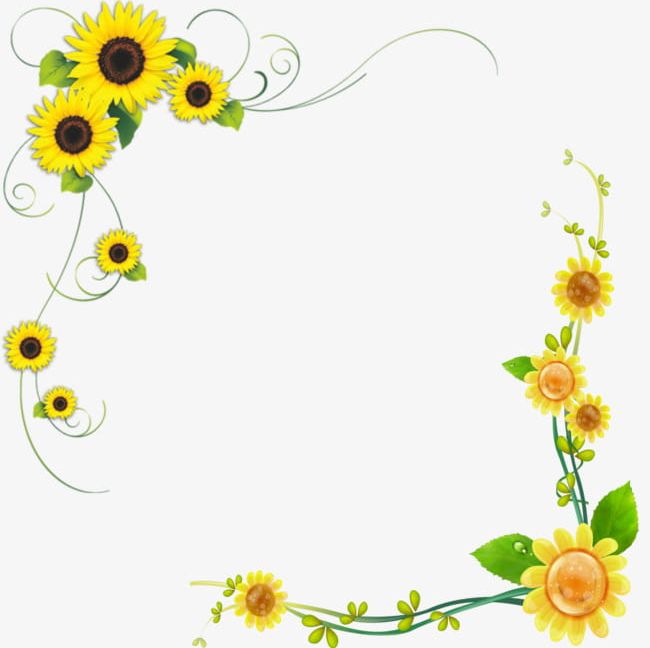 Sunflower PNG, Clipart, Borders, Decorative, Decorative Borders, Flowers, Sunflower Clipart Free PNG Download