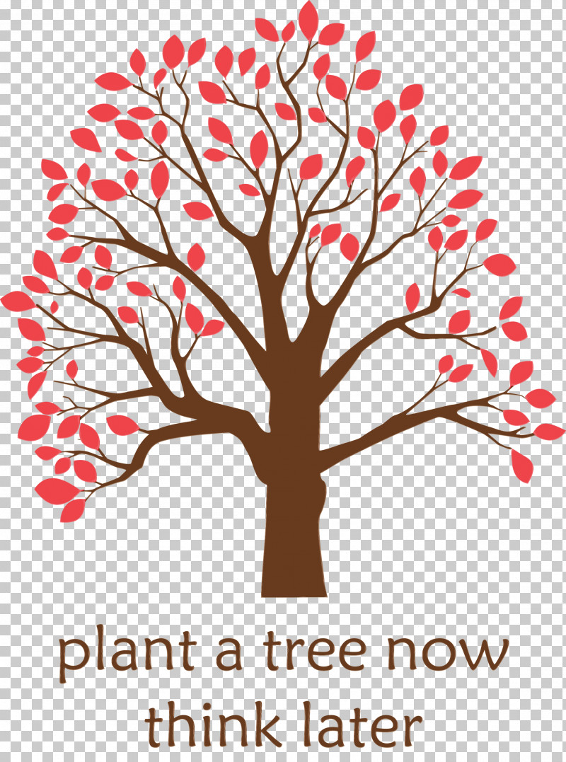 Tree Leaf Broad-leaved Tree Root Oak PNG, Clipart, Arbor Day, Birch, Branch, Broadleaved Tree, Drawing Free PNG Download