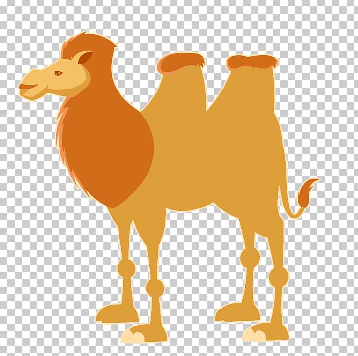 Bactrian Camel Dromedary Cartoon Illustration PNG, Clipart, Animals, Arabian Camel, Bactrian Camel, Balloon Cartoon, Beak Free PNG Download