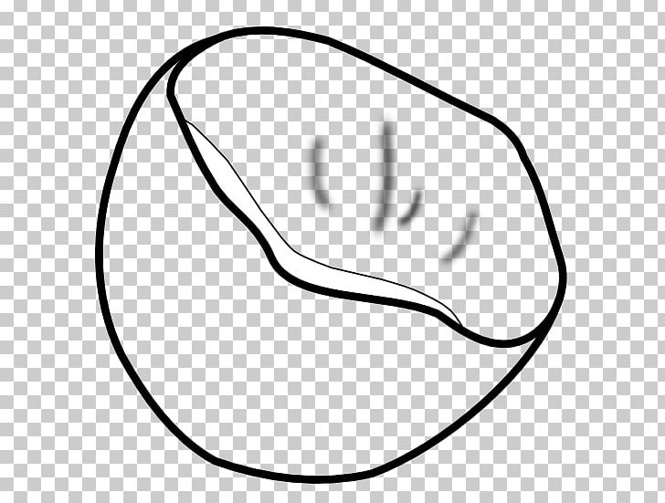 Black And White Coconut Line Art PNG, Clipart, Angle, Area, Black, Black And White, Circle Free PNG Download