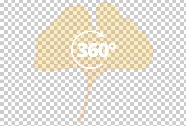 Petal Leaf Flower Tree Font PNG, Clipart, Flower, Leaf, Petal, Tree, Yellow Free PNG Download