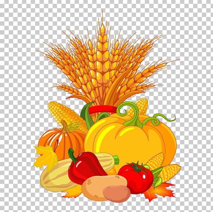 Autumn Harvest Festival PNG, Clipart, Baogu, Calabaza, Cartoon, Cartoon Corn, Chili Free PNG Download