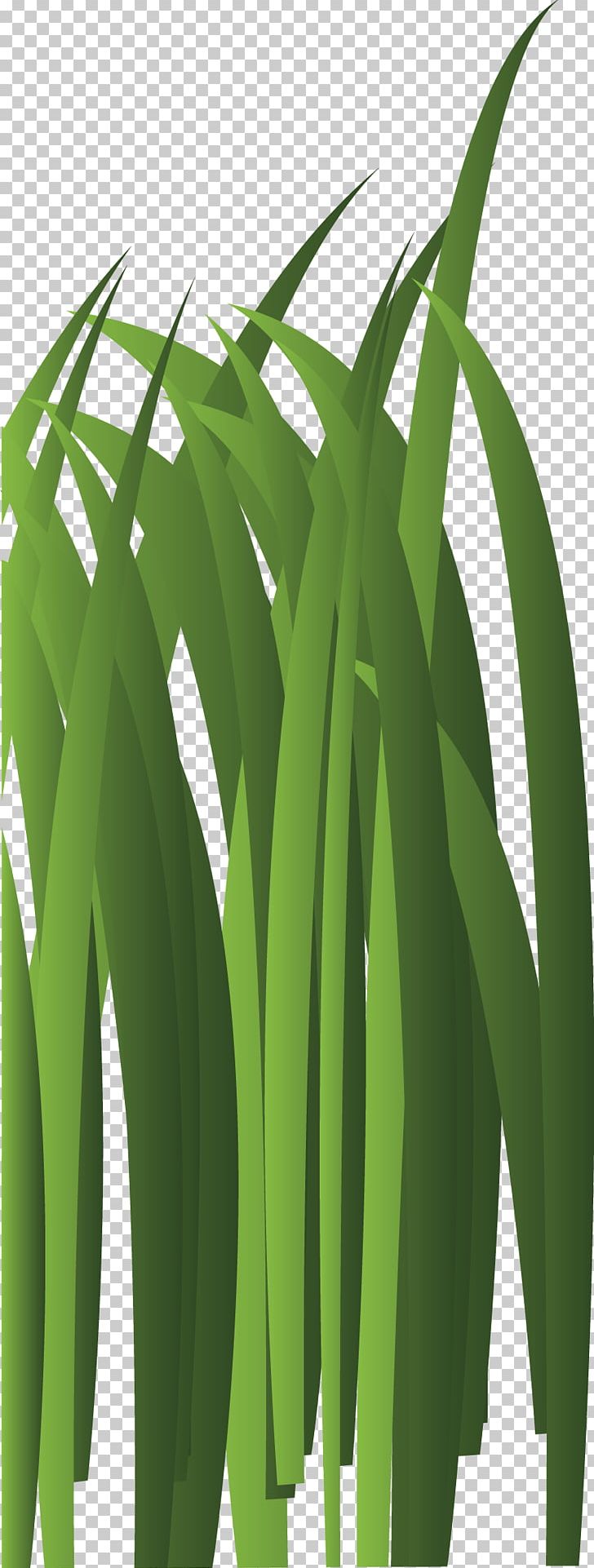 Bambusodae Green Leaf Plant Stem Tree PNG, Clipart, Bamboo, Bambusodae, Chemical Element, Computer Graphics, Decorative Patterns Free PNG Download