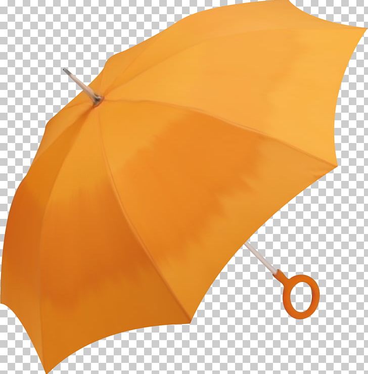 Bumbershoot Umbrella PNG, Clipart, Bumbershoot, Desktop Wallpaper, Digital Image, Encapsulated Postscript, Fashion Accessory Free PNG Download