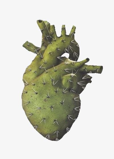 Cactus Heart PNG, Clipart, Art, Cactus, Cactus Clipart, Green, Heart Free PNG Download