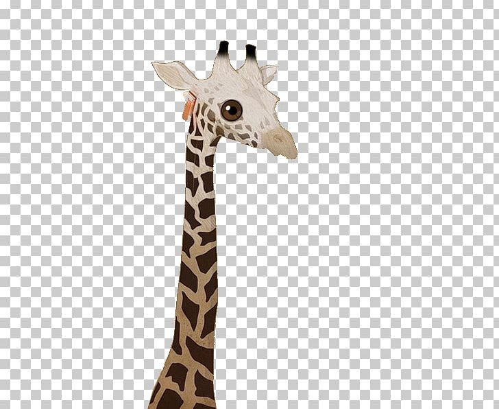 Northern Giraffe Deer Icon PNG, Clipart, Animals, Avatar, Cartoon, Deer, Designer Free PNG Download