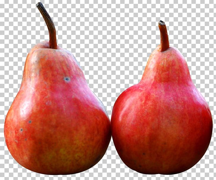 Pear Fruit PNG, Clipart, Accessory Fruit, Apple, Computer Icons, Display Resolution, Download Free PNG Download