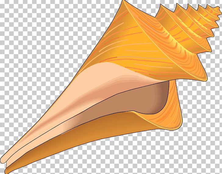 Seashell Conch PNG, Clipart, Animals, Art, Clam, Conch, Cone Free PNG Download