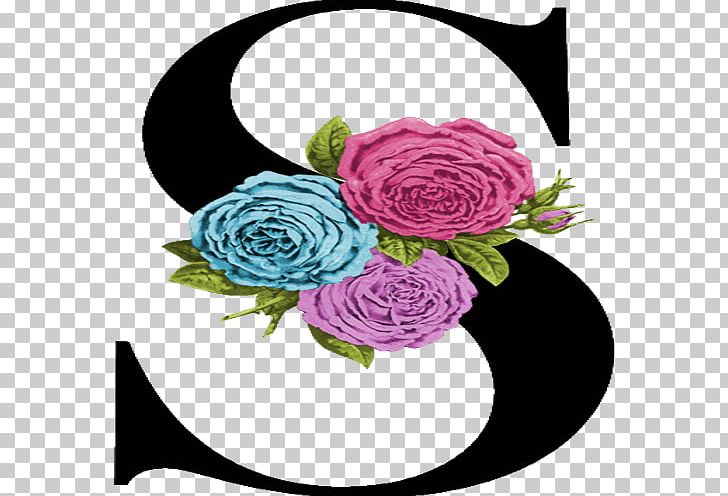 Garden Roses Floral Design Cut Flowers Centifolia Roses PNG, Clipart, Centifolia Roses, Cut Flowers, Download, Flora, Floral Free PNG Download