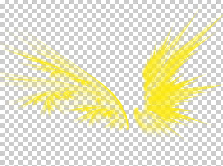 Graphic Design Yellow Pattern PNG, Clipart, Angel Wing, Angel Wings, Chicken Wings, Computer, Computer Wallpaper Free PNG Download