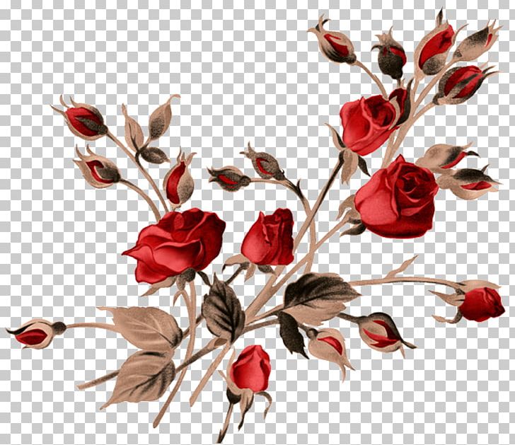 Rose Painting PNG, Clipart, Art, Blossom, Branch, Canvas, Cut Flowers Free PNG Download