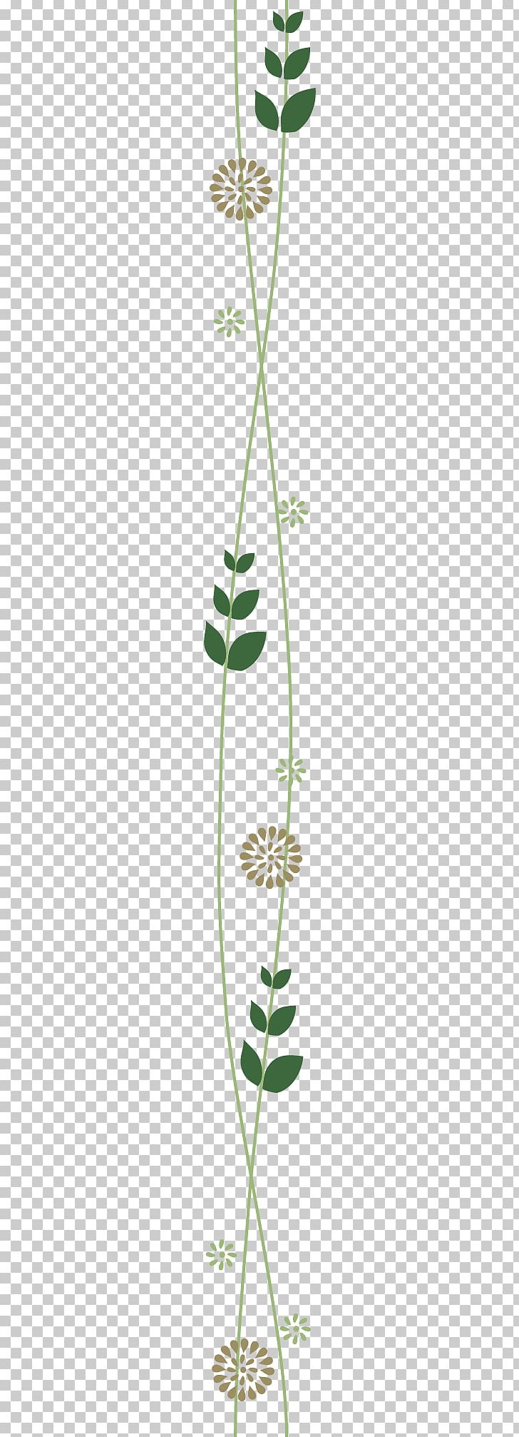 Grasses Plant Stem Leaf Green Flower PNG, Clipart, Abstract Lines, Art, Branch, Family, Flor Free PNG Download