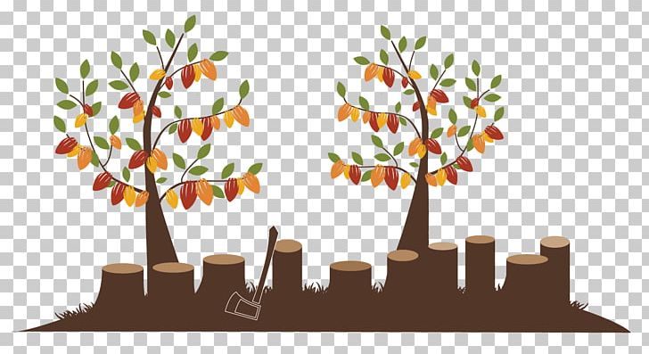 Leaf PNG, Clipart, Branch, Flower, Leaf, Others, Plant Free PNG Download