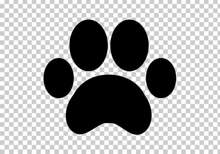 Jack Russell Terrier Horse Australian Shepherd Paw Pet PNG, Clipart, Animals, Australian Shepherd, Black, Black And White, Circle Free PNG Download