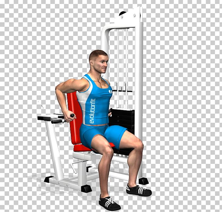 Weight Training Exercise Biceps Strength Training Triceps Brachii Muscle PNG, Clipart, Abdomen, Arm, Balance, Barbell, Bench Free PNG Download