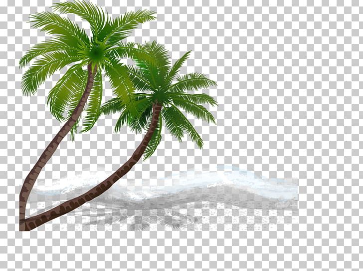 Beach Coconut PNG, Clipart, Arecales, Branch, Christmas Tree, Coconut Tree, Coconut Vector Free PNG Download