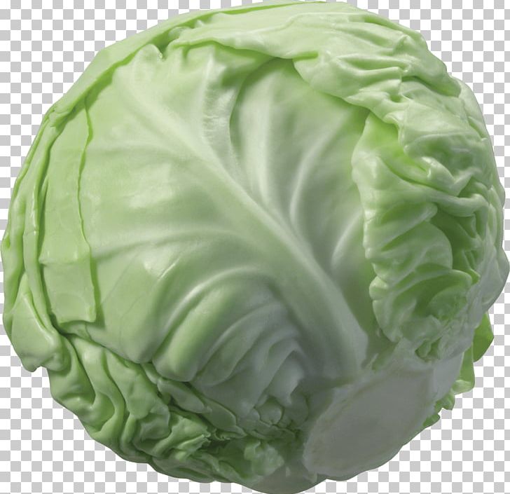 Cabbage Cauliflower Vegetable PNG, Clipart, Bodybuildingfood, Brassica Oleracea, Broccoli, Cabbage, Collard Greens Free PNG Download