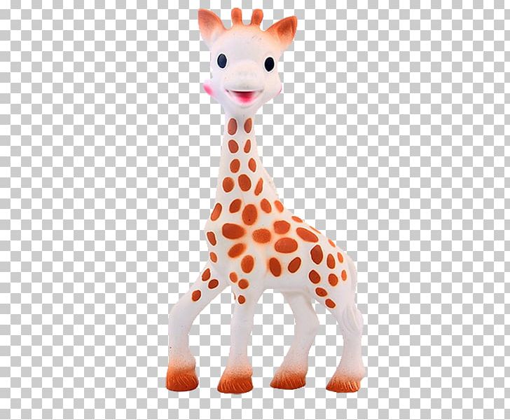 Sophie The Giraffe Infant Teether Teething PNG, Clipart, Babies, Baby, Baby Animals, Baby Announcement Card, Baby Background Free PNG Download