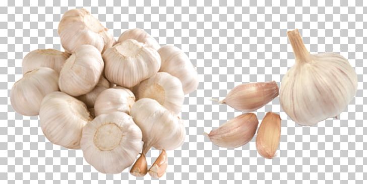 Garlic Computer Icons PNG, Clipart, Allioideae, Cloves, Computer Icons, Diallyl Disulfide, Download Free PNG Download