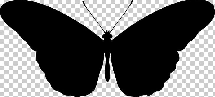 Silhouette Butterfly PNG, Clipart, Animals, Art, Black, Black And White, Brush Footed Butterfly Free PNG Download