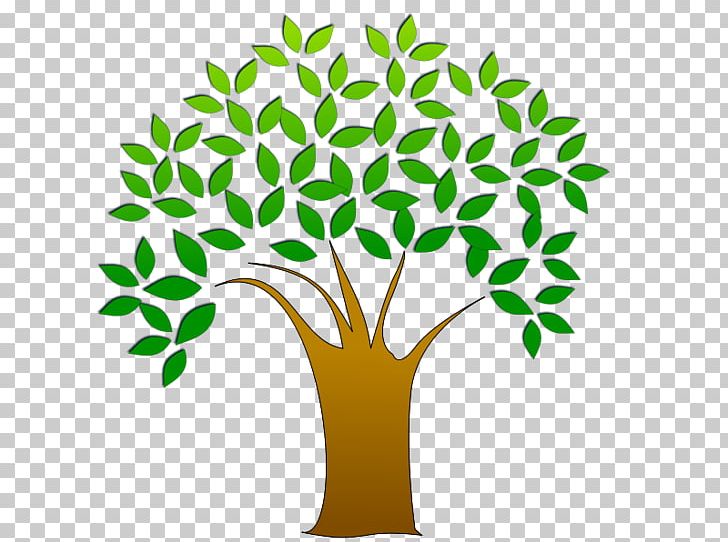 Tree Branch PNG, Clipart, Apng, Branch, Christmas Tree, Copyright, Flora Free PNG Download