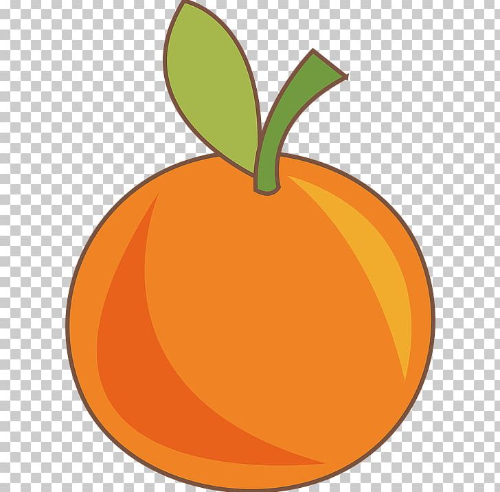 Orange S.A. Fruit Food Drawing PNG, Clipart, Apple, Banana, Calabaza, Commodity, Cucurbita Free PNG Download