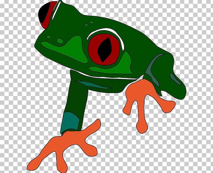 Red-eyed Tree Frog The Tree Frog PNG, Clipart, American Green Tree Frog, Amphibian, Animals, Artwork, Australian Green Tree Frog Free PNG Download