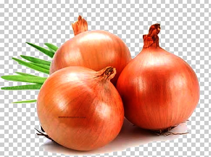 Yellow Onion Organic Food French Onion Soup Red Onion PNG, Clipart, Allium, Bush Tomato, Capsicum, Chili Pepper, Chinese Cabbage Free PNG Download