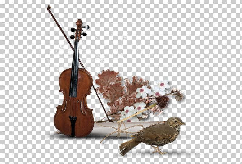 String Instrument String Instrument Musical Instrument Violin Family Cello PNG, Clipart, Cello, Double Bass, Fiddle, Music, Musical Instrument Free PNG Download