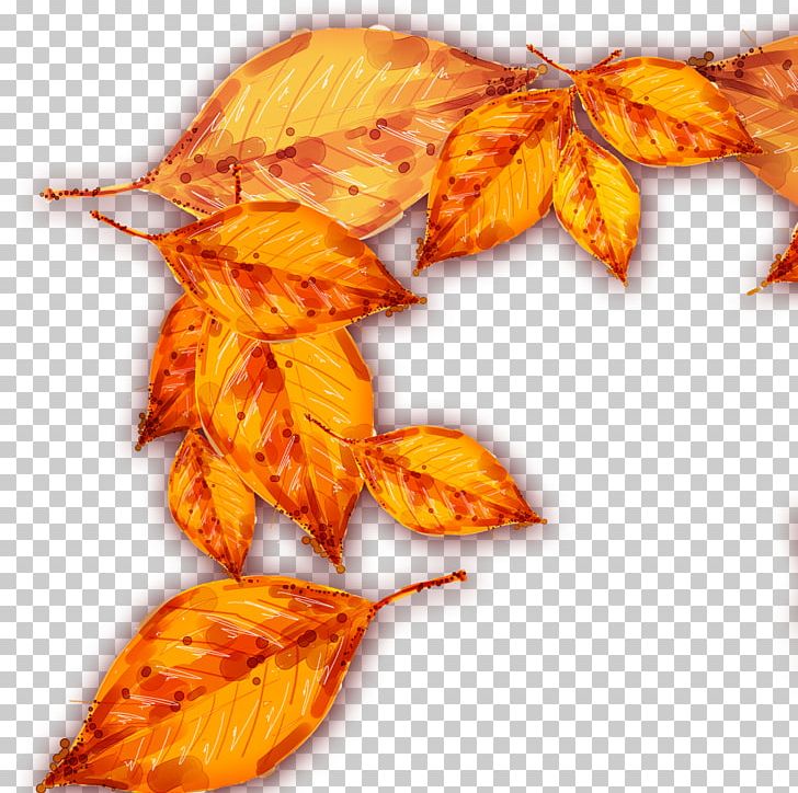 Autumn Deciduous Leaf PNG, Clipart, Autumn, Autumn Leaves, Autumn Tree, Banana Leaves, Concepteur Free PNG Download