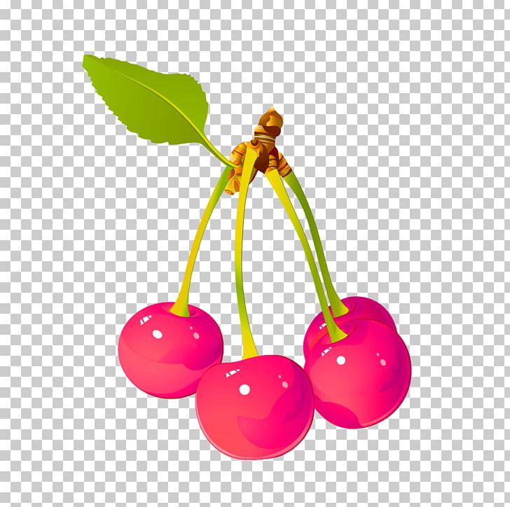 Cherry Illustrator Illustration PNG, Clipart, Branch, Cartoon, Cherry, Christmas Decoration, Decorative Free PNG Download