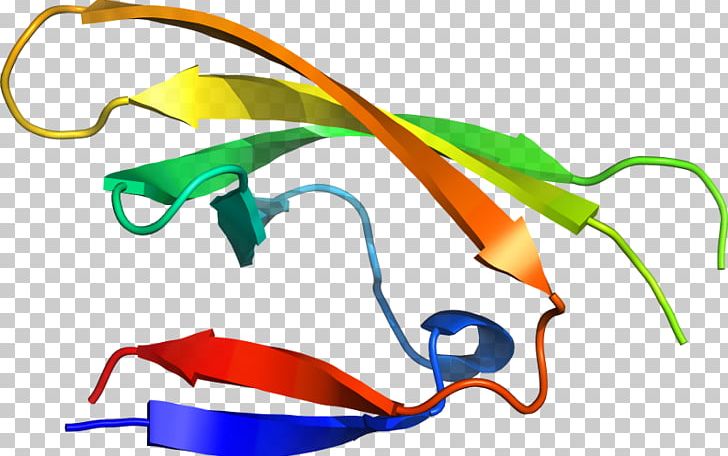 Goggles Glasses Product Line PNG, Clipart, Artwork, Eyewear, Fashion Accessory, Glasses, Goggles Free PNG Download