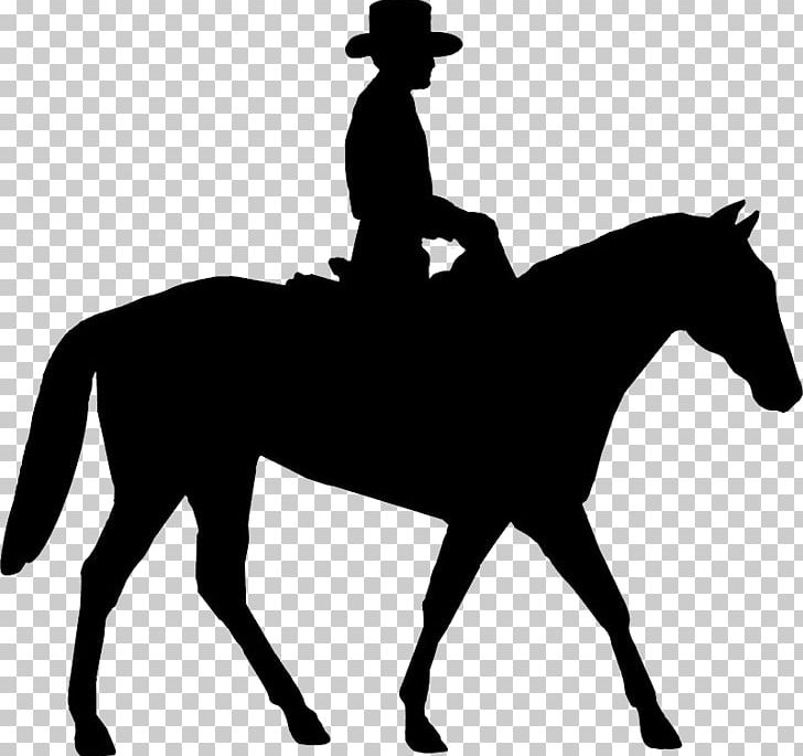 Horse Equestrian Bucking English Riding PNG, Clipart, Animals, Black And White, Bridle, Collection, Colt Free PNG Download
