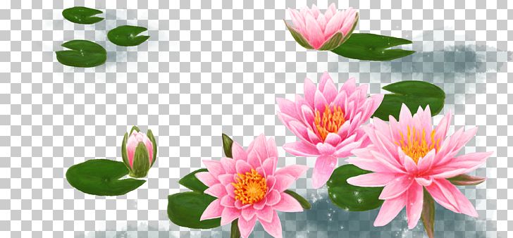 Lotus 31 Nelumbo Nucifera PNG, Clipart, Artificial Flower, Background,  Computer Wallpaper, Downloads, Flora Free PNG Download