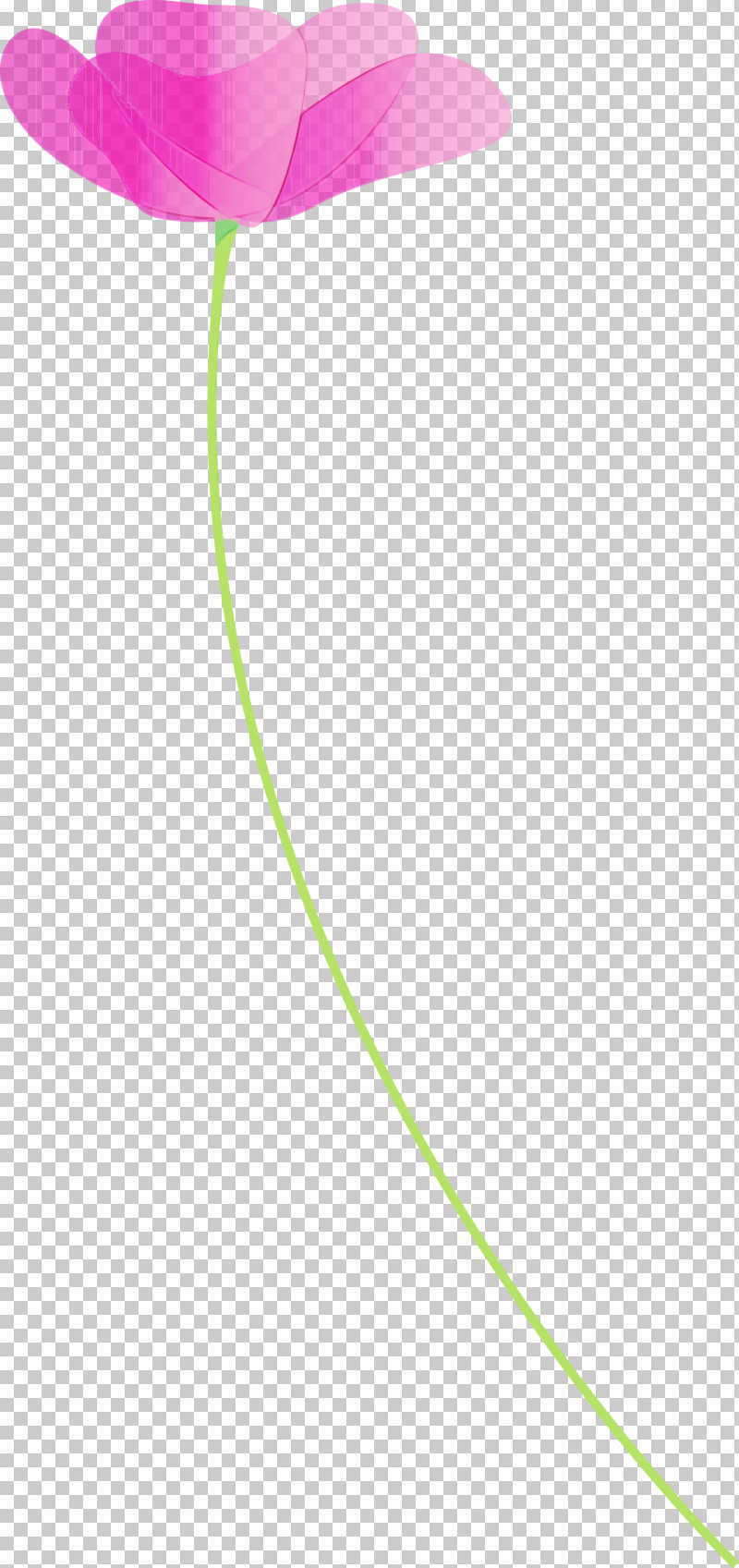 Green Line PNG, Clipart, Flower, Green, Line, Paint, Poppy Free PNG Download