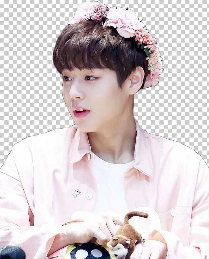Park Jihoon Wanna One Produce 101 Season 2 Nothing Without You PNG, Clipart, Antifan, Cool, Discover, English, Girl Free PNG Download