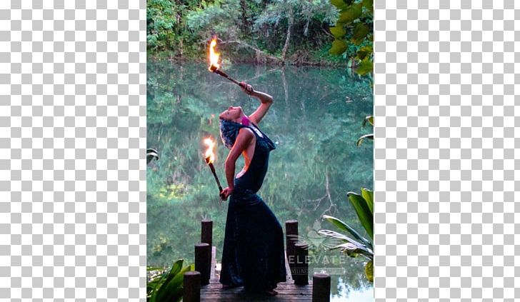 Recreation PNG, Clipart, Fire Dance, Grass, Plant, Recreation, Tree Free PNG Download